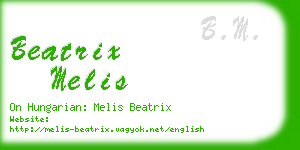beatrix melis business card